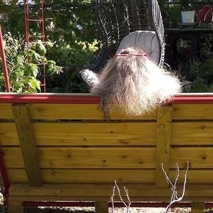 Meet your Posher, Carole